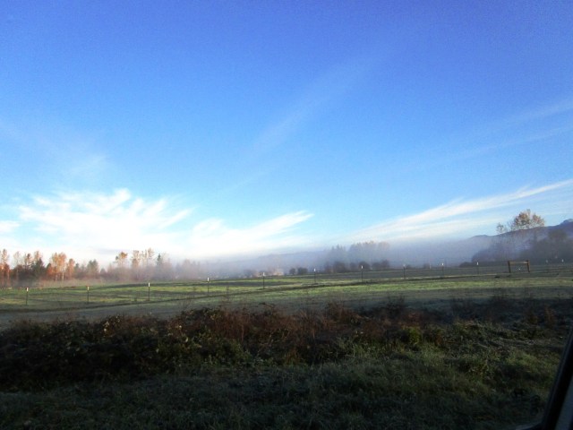 The Field in the Morn