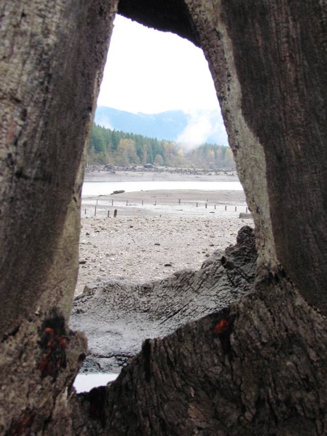 Wooden Framed Lake 2015