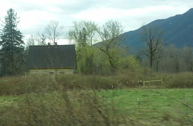 20140315_145440-1.jpg image