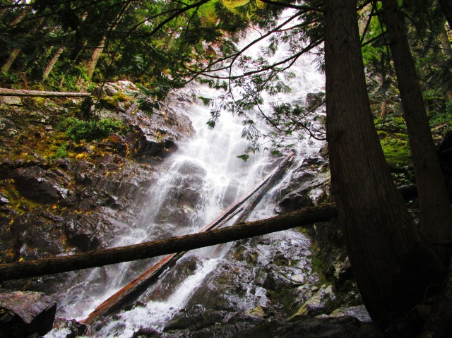 Return to Teneriffe Falls 2.7.16