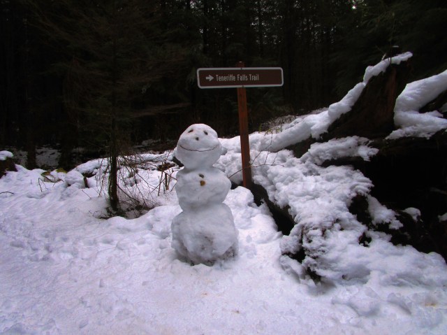 Snowhiker in December