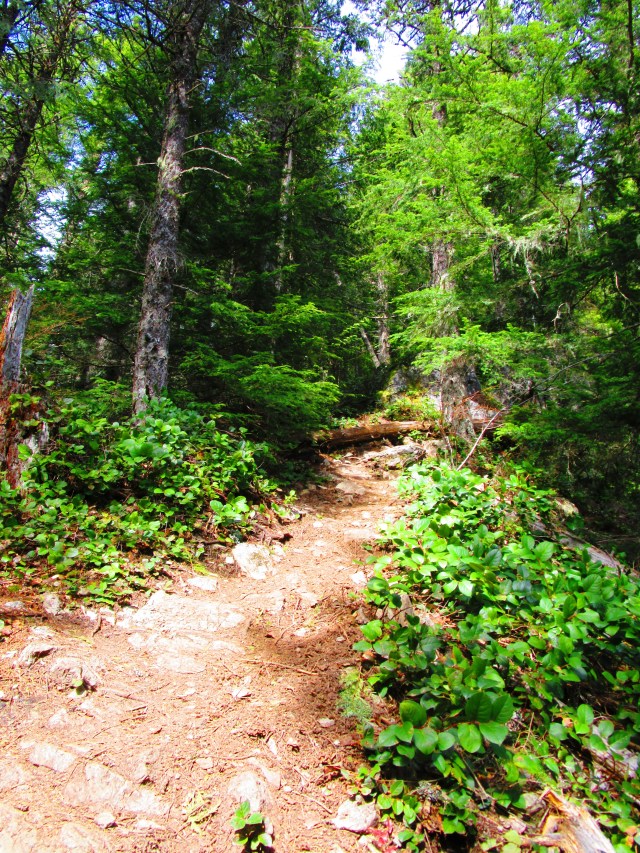 Off the Beaten Path on Teneriffe