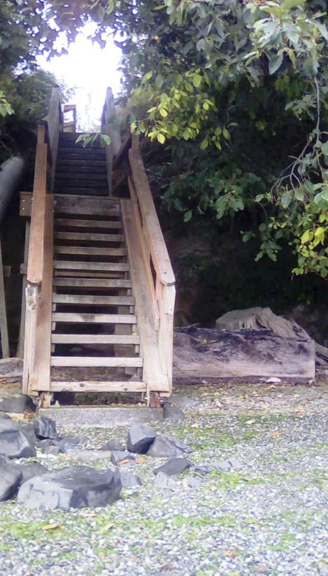 Steps along Hartstene Island Beach