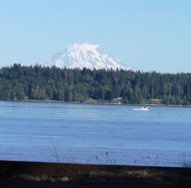 Mt. Rainier - July 2016