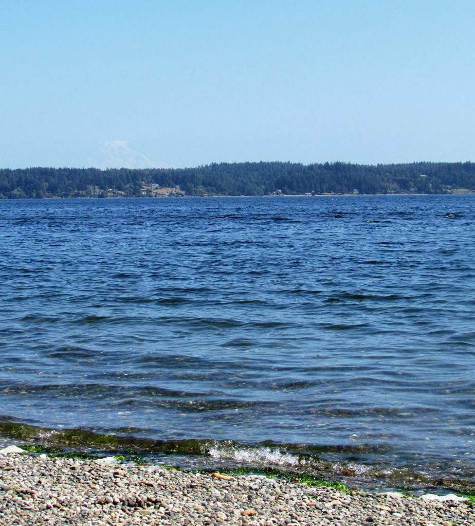 Waves rolling in from a lake.