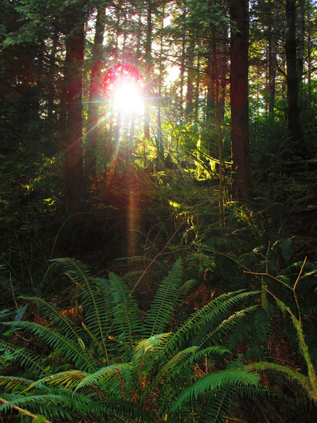 on-the-trail-july-2016