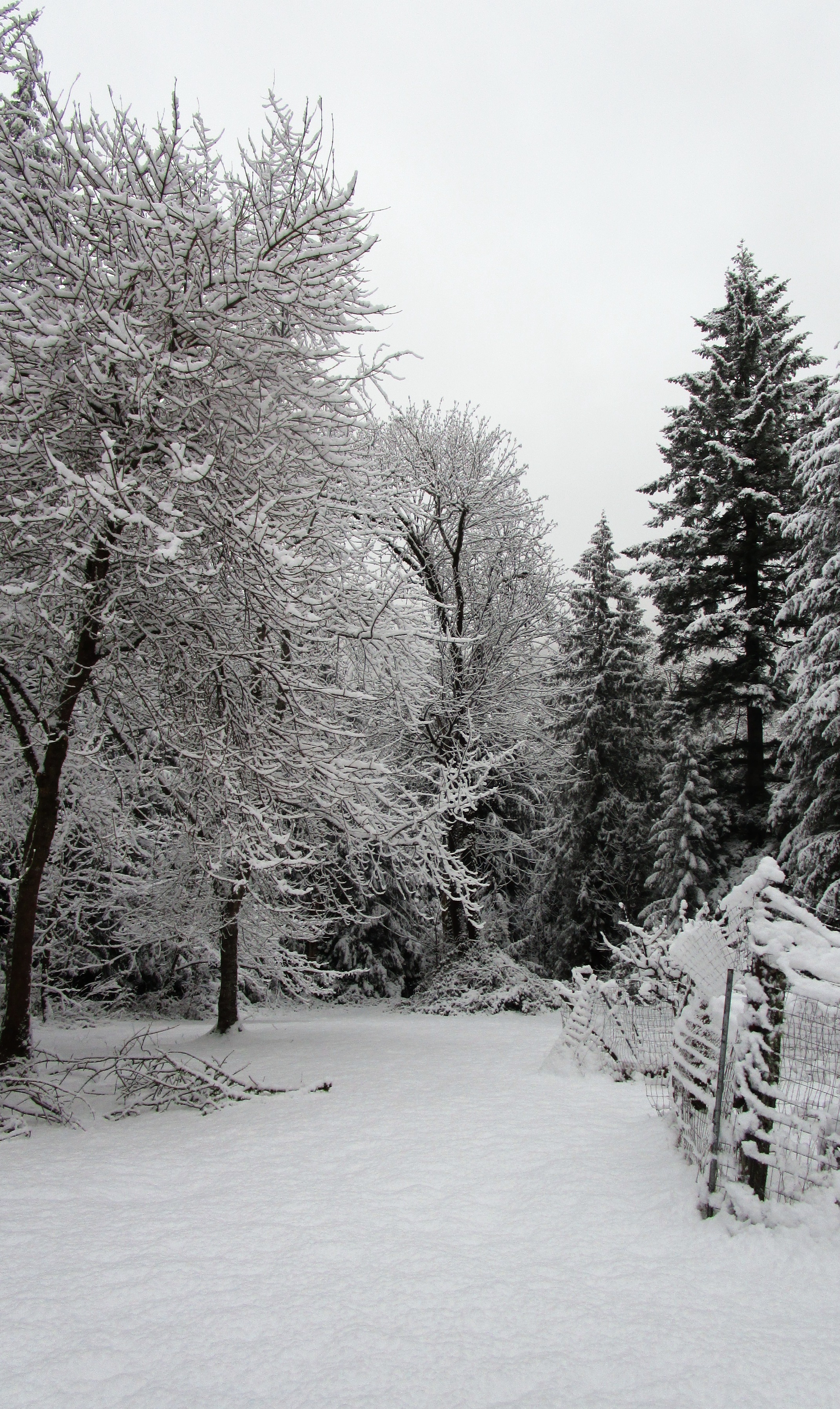 first-snow-of-the-year