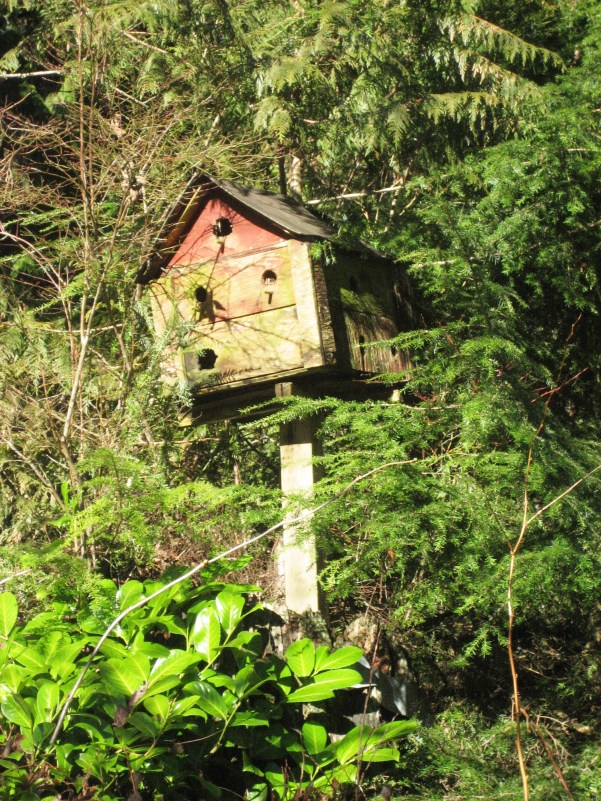 birdhouse