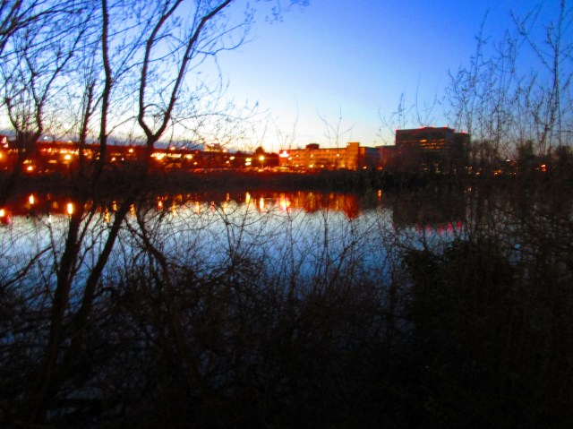 Night on the Lake.JPG