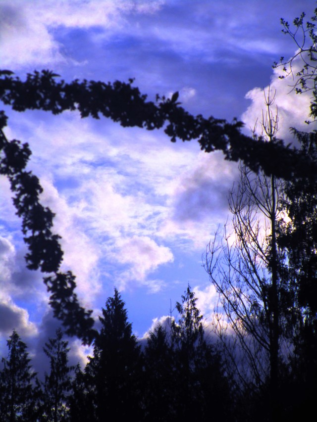 Between the Storms.JPG