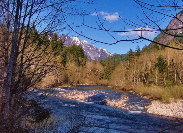 Middle Fork Stroll 2012.jpg