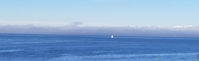 On the Water, in the Sound