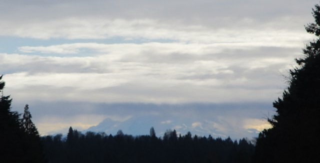 Mount Rainier January 2020