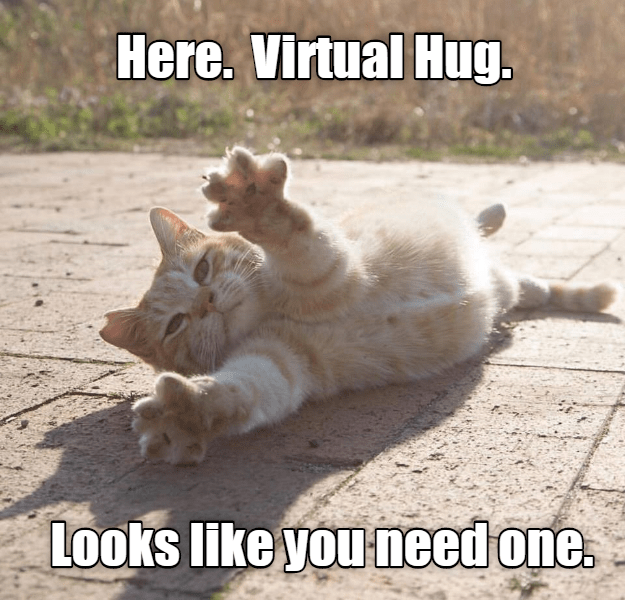 Meme of an orange tabby kitten/cat reaching its paws towards you. while laying on a brick path.

Text above: "Here. Virtual Hug."
Text below: Looks like you need one."