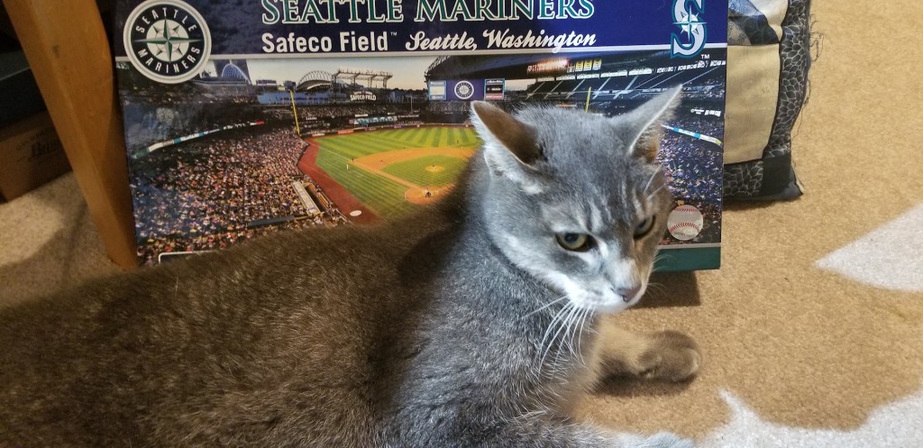 A gray and white at laying on the carpet in front of a puzzle box that reads: "Seattle Mariners Safeco Field, Seattle, Washington."