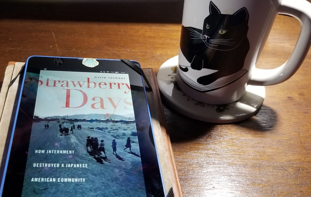 "Strawberry Days: How Internment Destroyed a Japanese American Community" by David Neiwert is on the Kindle screen.

To the right of that, a white coffee cup with a black cat, paws resting on an open book.