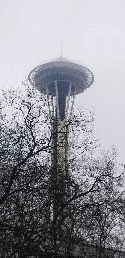 The Seattle Space Needle with the top vanishing into the fog. A cluster of tree branches below.