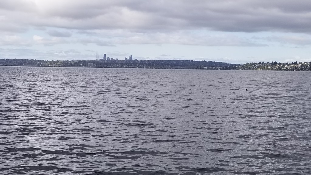 A large lake,  with a city looking small in the distance. 