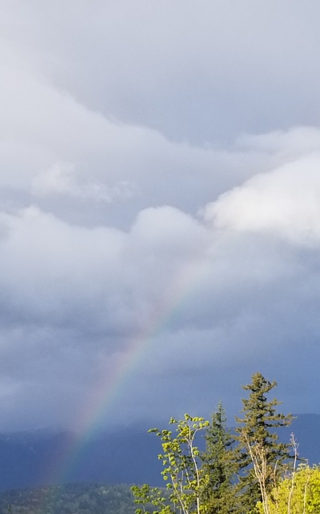 A faint rainbow arched over trees, streaking across a dark cloudy sky and mountains in the distance.