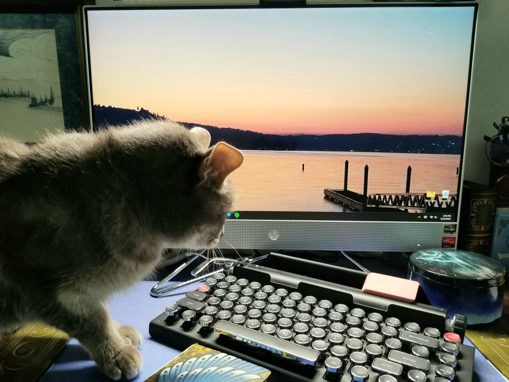 A gray and white cat looking at a computer screen with a sunset over a lake. A hummingbird notebook and a typewriter keyboard are in front of him. 