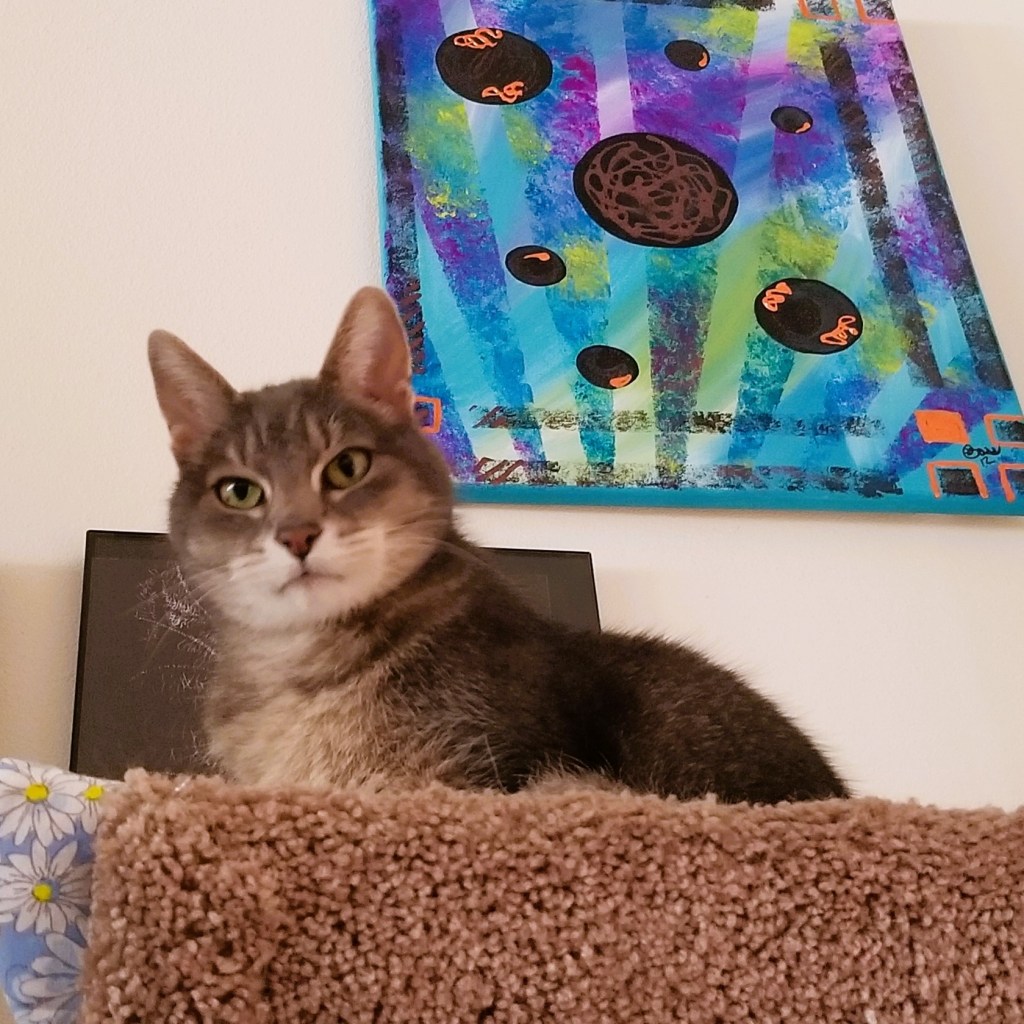 A gray and white cat sitting on a cat blanket in its bed, looking down at you. On the wall behind him, a painted canvas.